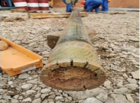 川藏线高海拔勘探岩石标本 3